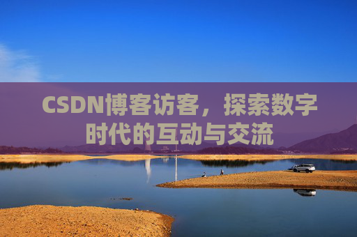 CSDN博客访客，探索数字时代的互动与交流